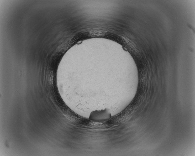 X0000096460315200802211132