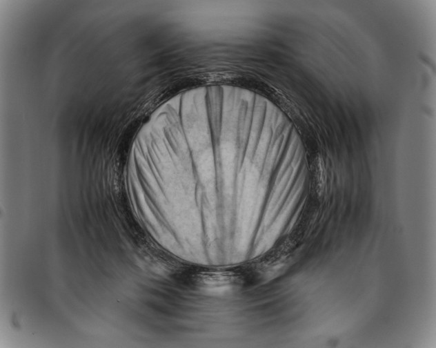 X0000096460316200802211132