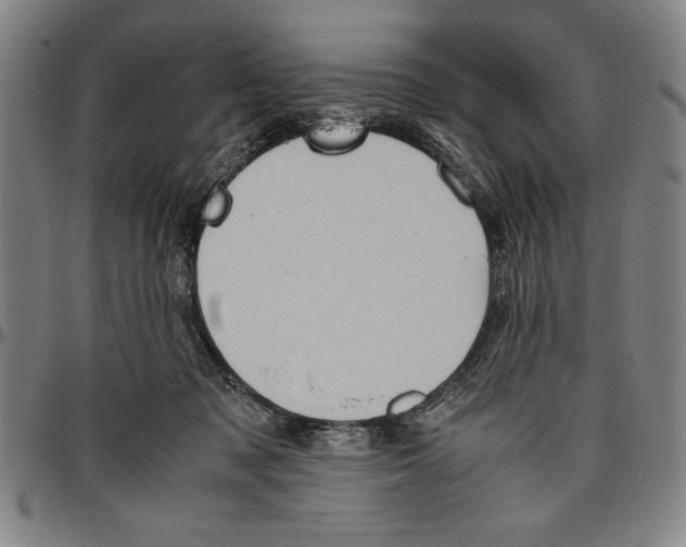 X0000096460317200802211132