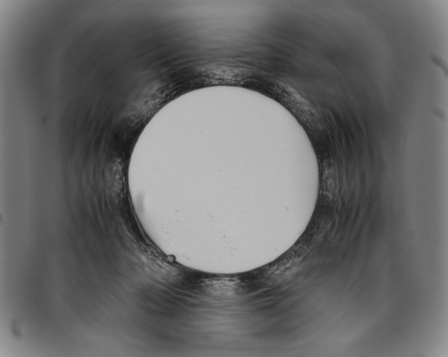 X0000096460318200802211132