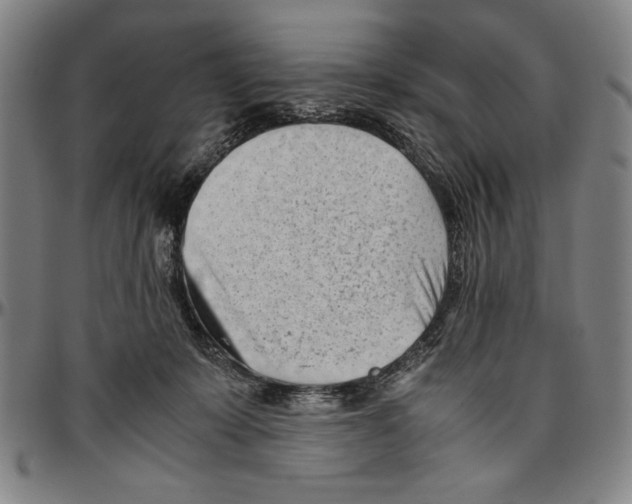 X0000096460319200802211132