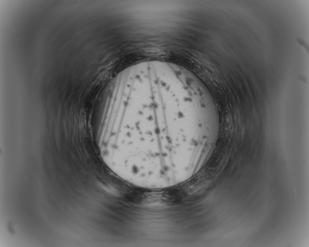 X0000096460320200802211132