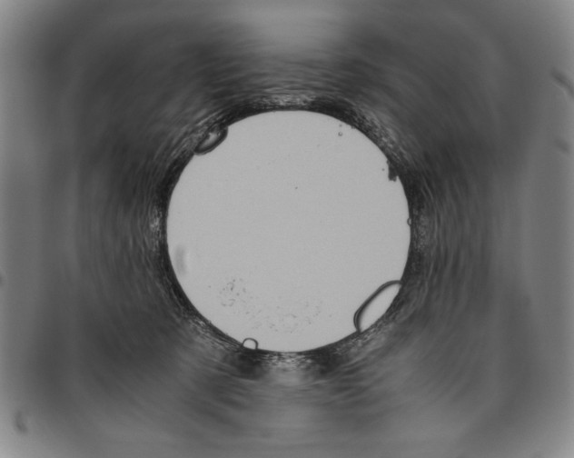 X0000096460321200802211132