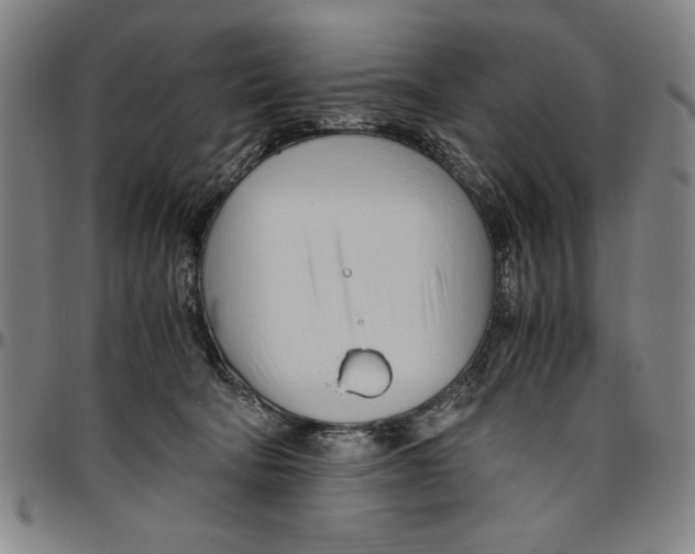 X0000096460322200802211132