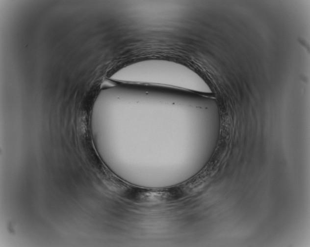 X0000096460323200802211132