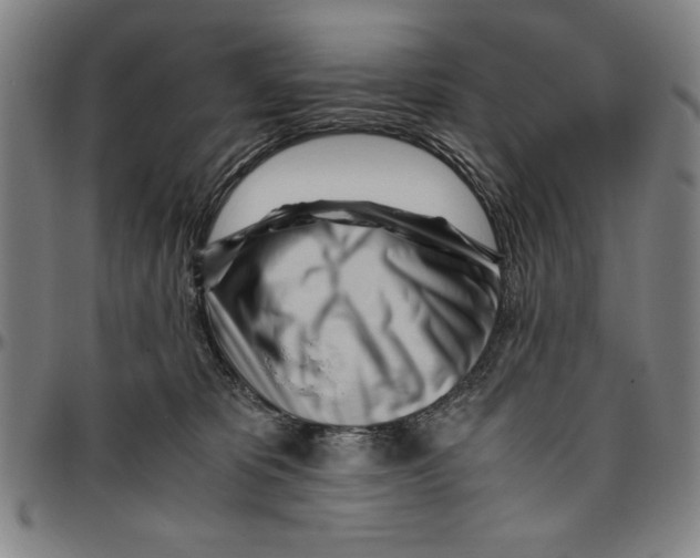 X0000096460325200802211132