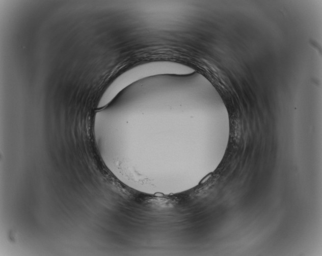 X0000096460326200802211132