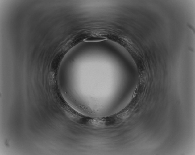 X0000096460327200802211132