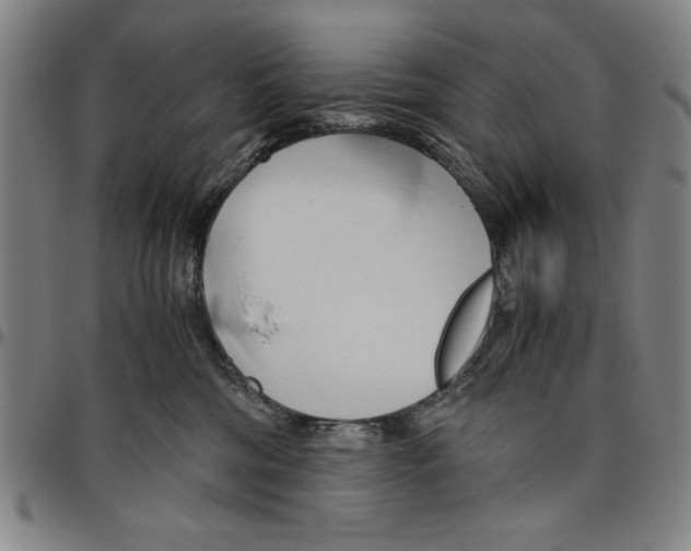 X0000096460330200802211132