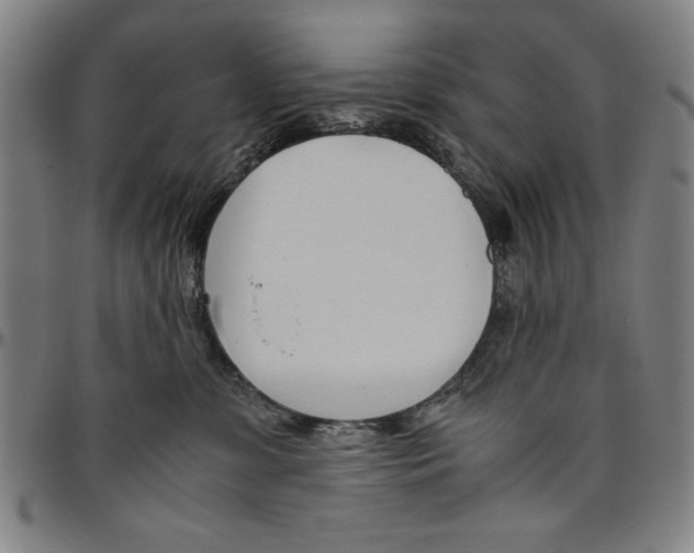 X0000096460331200802211132
