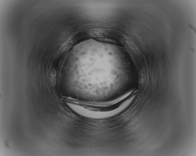 X0000096460332200802211132