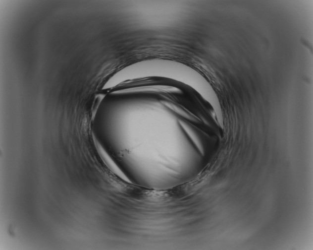 X0000096460333200802211132