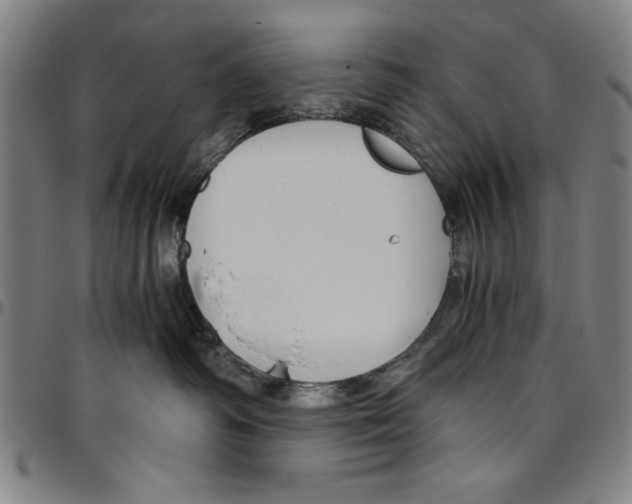 X0000096460334200802211132