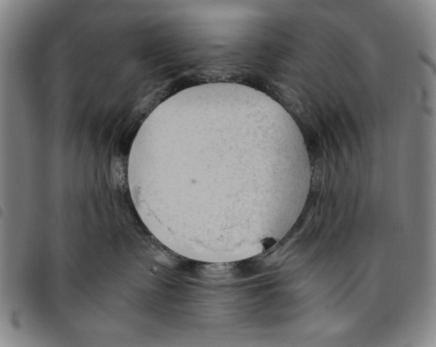X0000096460335200802211132