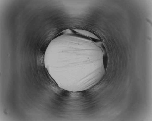 X0000096460336200802211132