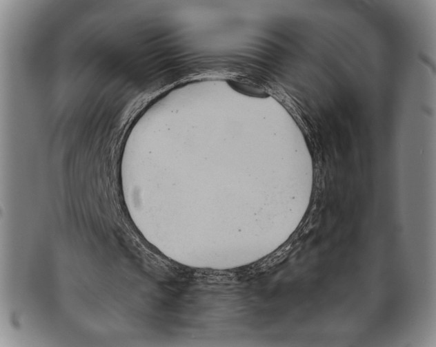 X0000096460337200802211131