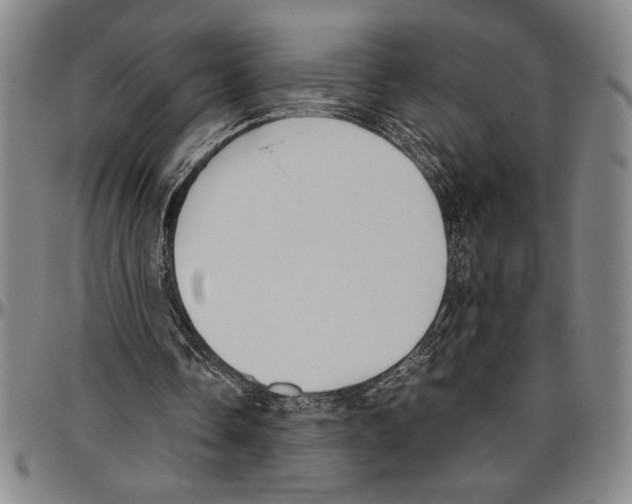 X0000096460338200802211131
