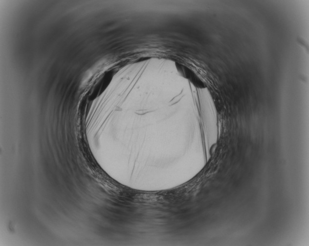 X0000096460339200802211131