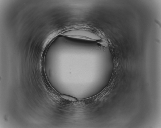 X0000096460340200802211131