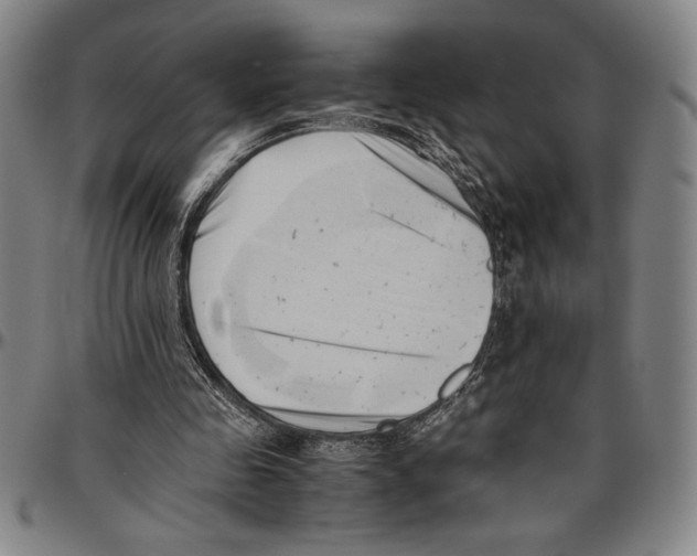X0000096460341200802211131