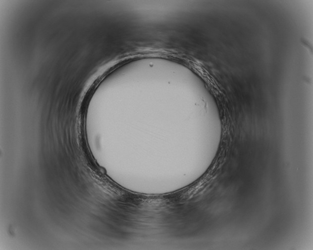 X0000096460342200802211131