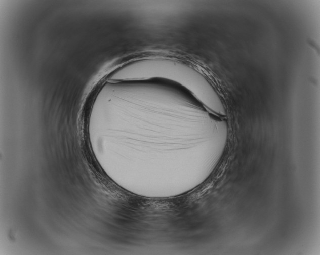 X0000096460343200802211131