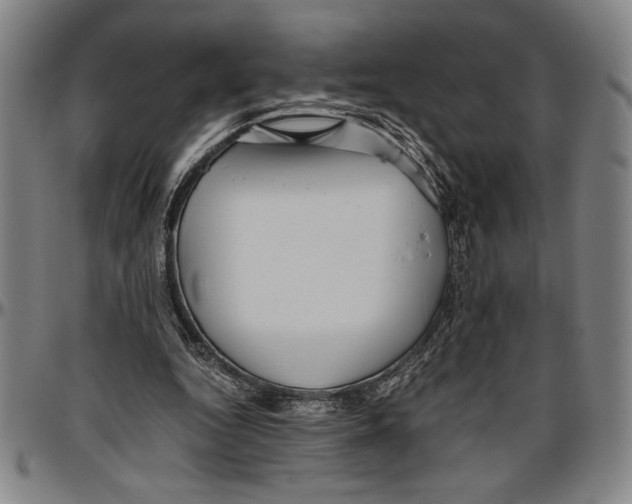 X0000096460344200802211131