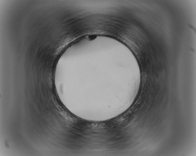 X0000096460345200802211131