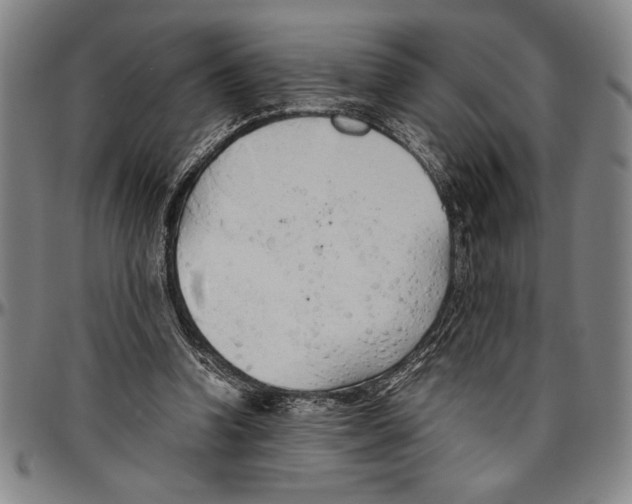 X0000096460346200802211131