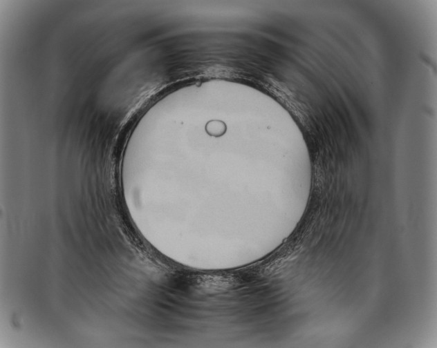 X0000096460347200802211131