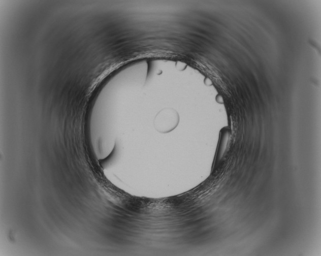 X0000096460348200802211131