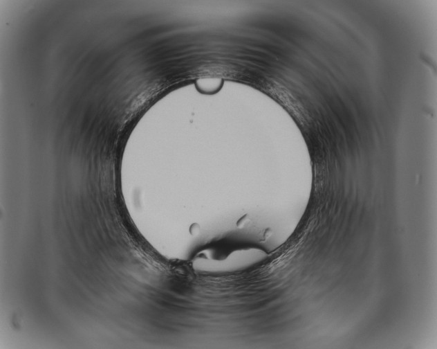 X0000096460349200802211131