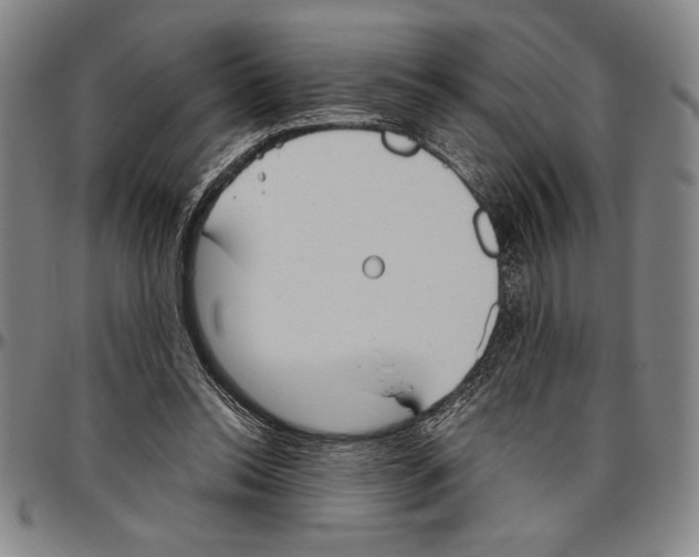 X0000096460350200802211131
