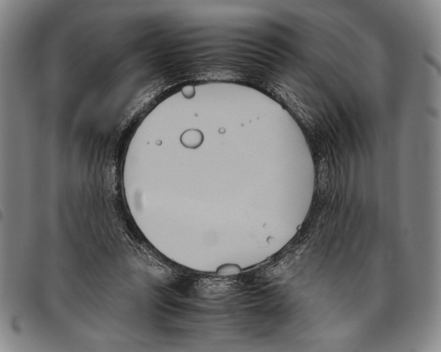 X0000096460351200802211131