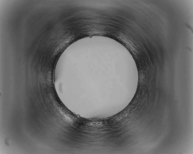 X0000096460353200802211131