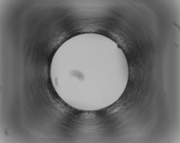 X0000096460354200802211131