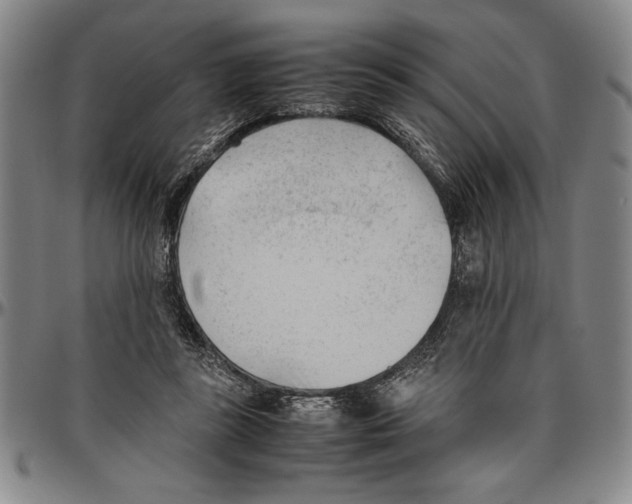 X0000096460355200802211131