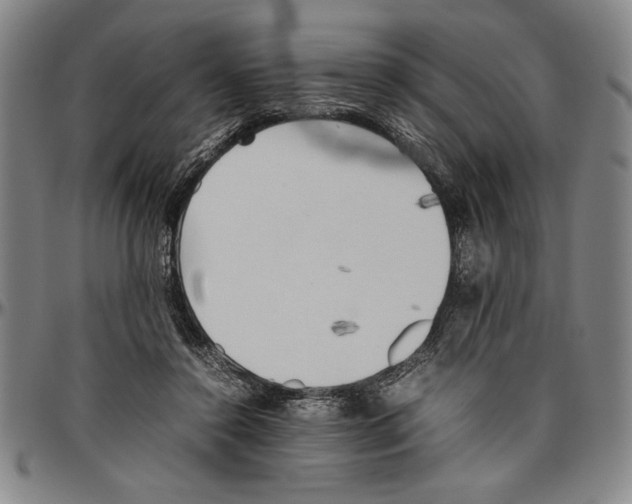 X0000096460356200802211131