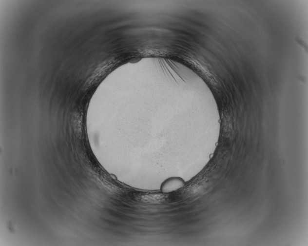 X0000096460357200802211131
