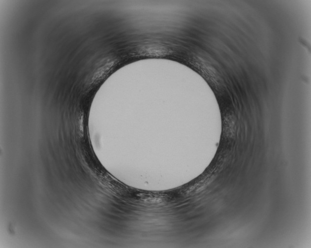 X0000096460358200802211131