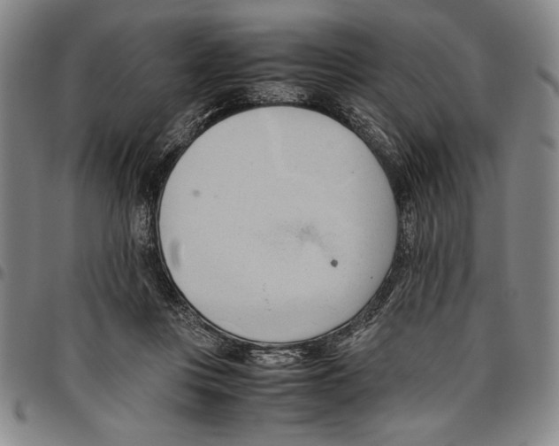 X0000096460359200802211131