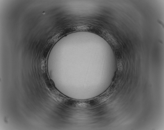 X0000096460360200802211131