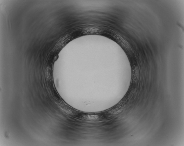 X0000096460361200802211131