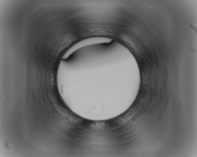 X0000096460362200802211131