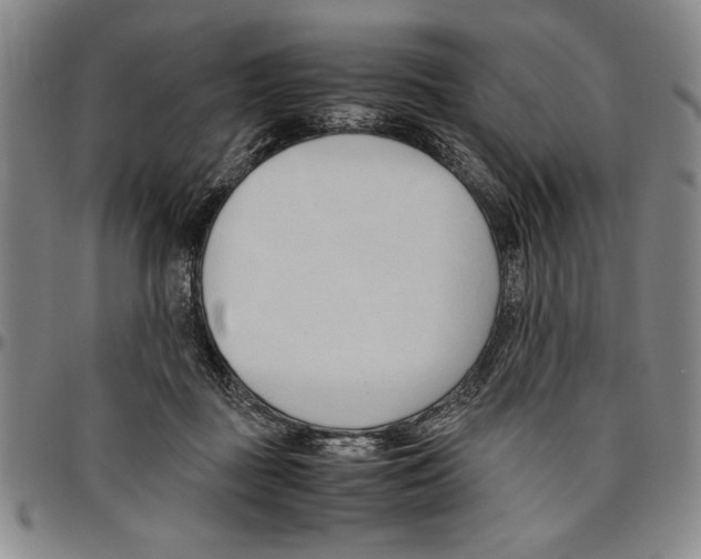X0000096460363200802211131