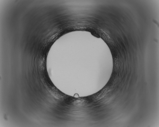 X0000096460364200802211131