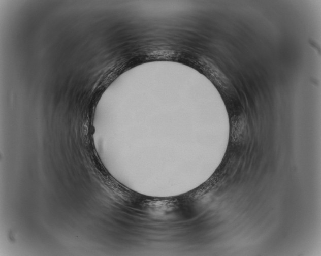 X0000096460365200802211131