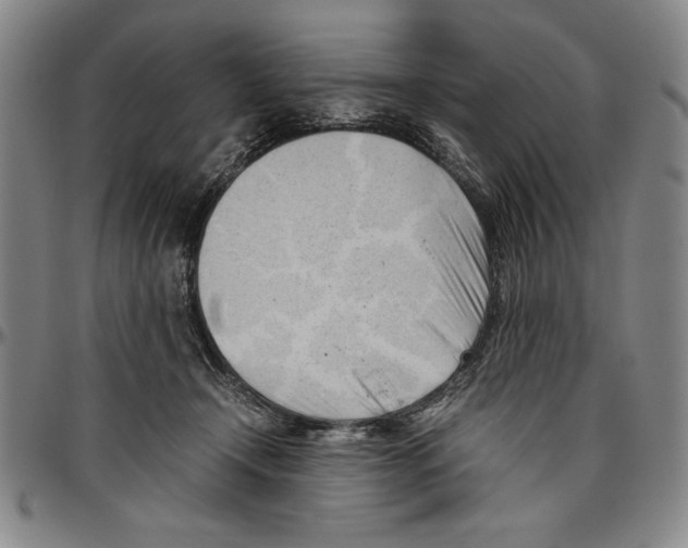X0000096460366200802211131