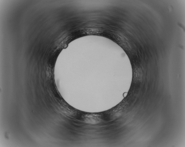 X0000096460367200802211132