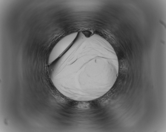 X0000096460369200802211132